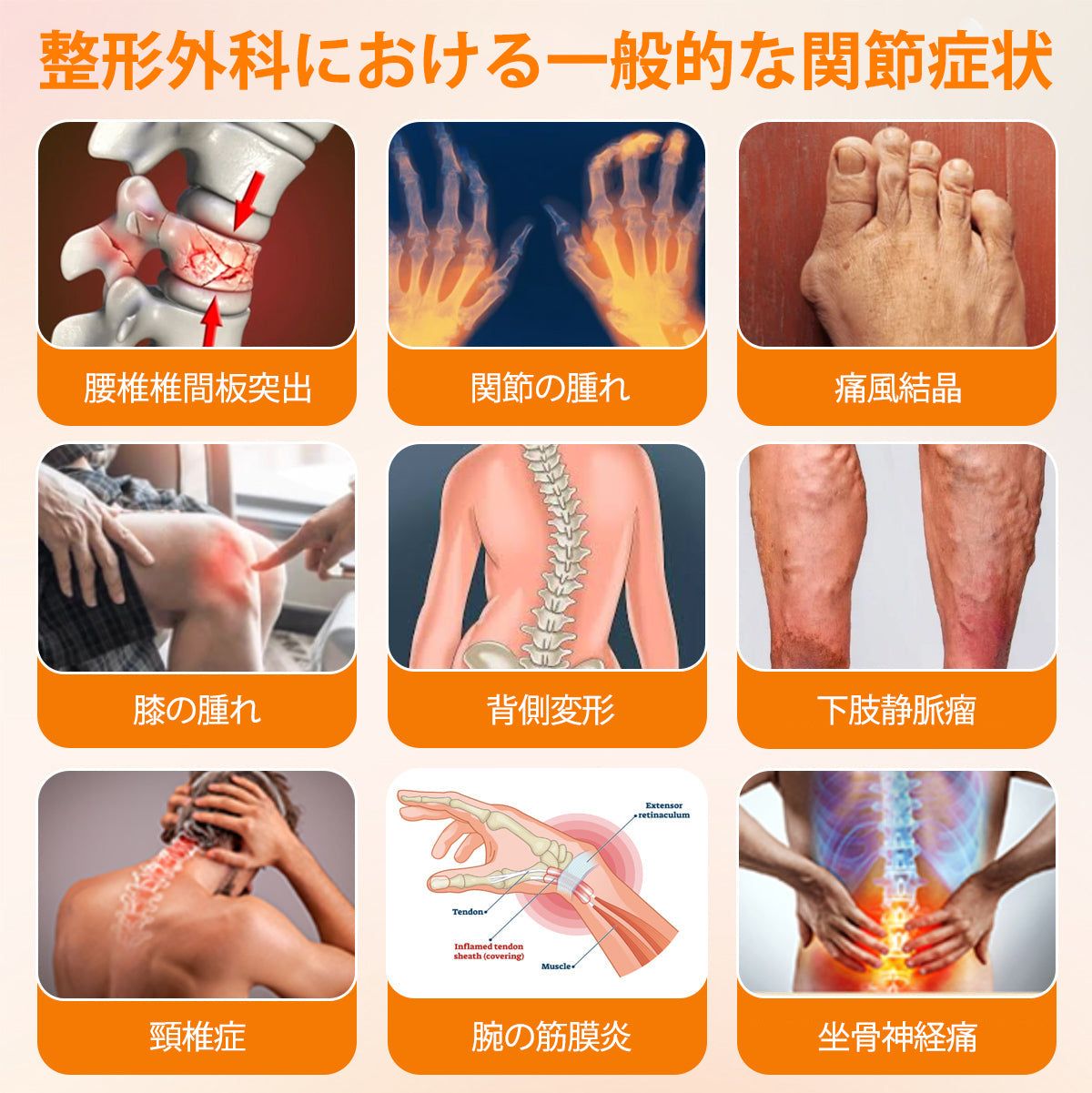 BSWELL® ハチ毒エキス配合 関節ケアクリーム|関節サポート・膝・腰・肩の違和感ケア|ニュージーランド産原料使用 高機能リペアクリーム